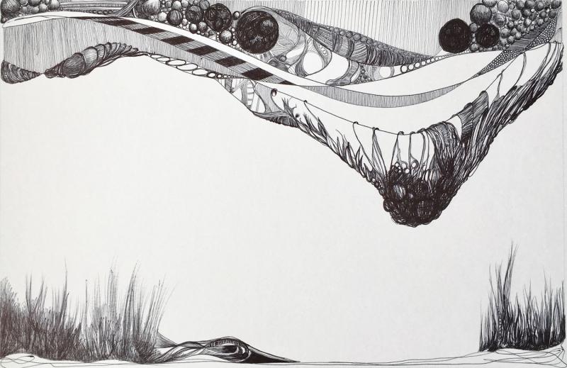 "Untitled   P"      Ball point pen drawing on paper  8.5" x 13.25”