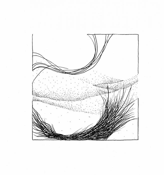 Dip Pen and India Ink on Paper,  5.5 inches by 5.5 inches