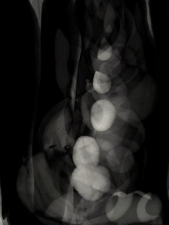 Hand Drawn Digital Image